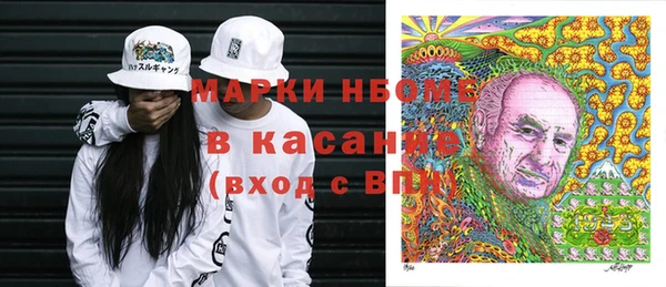 стаф Алзамай