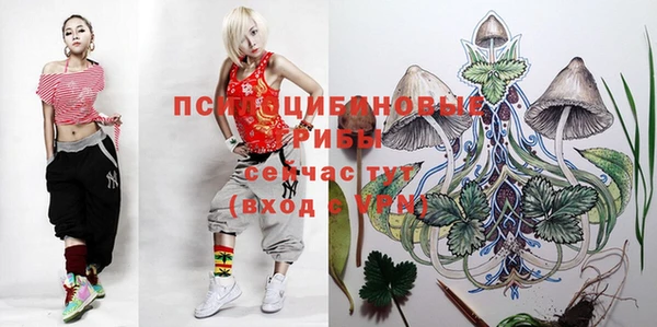 spice Алексин