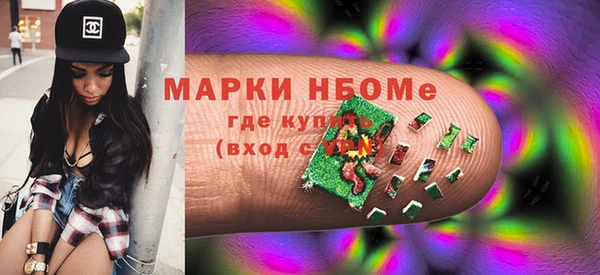 стаф Алзамай