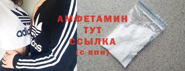 стаф Алзамай