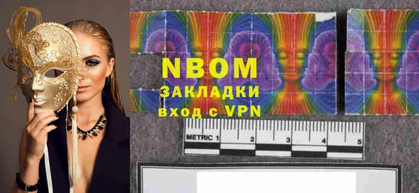 стаф Алзамай